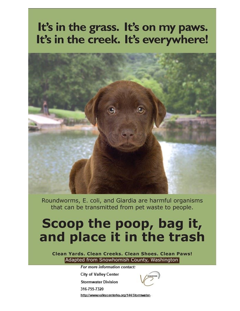 A hand scooping dog poop with a bag